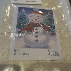 🎄XMAS26 - 16x20” Snowman Paint by number Kit